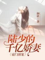 豪門溺寵：陸少的千億嬌妻