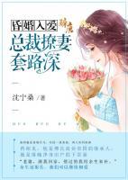 昏婚入愛：總裁撩妻套路深