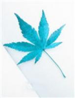 你在心上，愛太漫長