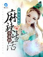 淘寶狂妃：小妻的麻辣生活