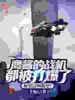 鷹醬的戰(zhàn)機(jī)都被打爆了，你管這叫模型？