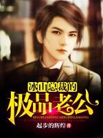 冰山總裁的極品老公