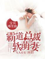 霸道總裁軟萌妻：寶貝哪里跑