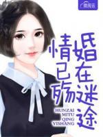 婚在迷途情已殤