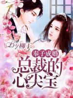 奉子成婚：總裁的心尖寶