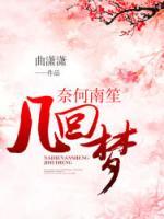 奈何南笙幾回夢(mèng)
