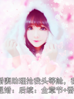 未婚妻助理?yè)屛翌^等艙，我選擇退婚：后續(xù)：全章節(jié)+番外
