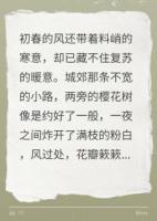 我的妻子是啞巴