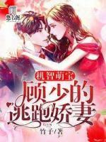 機(jī)智萌寶，顧少的逃跑嬌妻