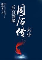 后宮薔薇：大小周后傳