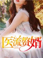 醫(yī)流贅婿