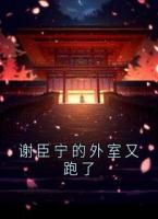 謝臣寧的外室又跑了