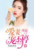 婚戀一百分：愛(ài)妻寵不停
