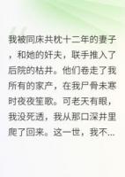 妻有奸夫兒非我，我先休妻再索命