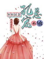 野貓嬌妻：孔總寵不夠
