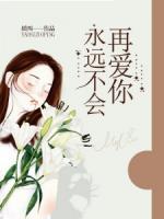 永遠(yuǎn)不會再愛你