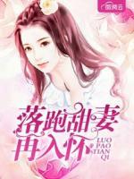 落跑甜妻再入懷