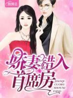 嬌妻錯入首席房