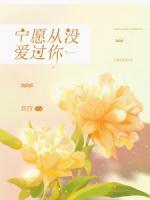 寧愿從沒愛過你