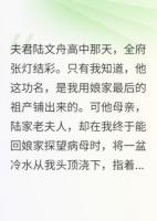 成婚三年，婆母指我肚子罵我荒田