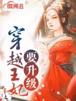 穿越王妃要升級