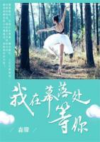 我在幕落處等你