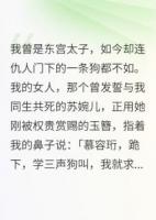 廢太子詔：從賤奴到帝君