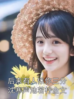 后來有人似你三分沈寒聲池若檸全文