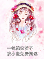 一枕槐安夢(mèng)不成小說免費(fèi)閱讀