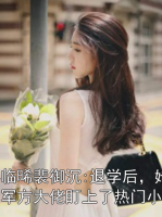 晏臨晞裴御沉:退學后，她被軍方大佬盯上了熱門小說