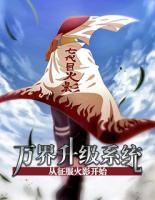 萬(wàn)界升級(jí)系統(tǒng)從征服火影開(kāi)始