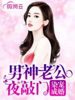 染寵成婚：男神老公夜敲門