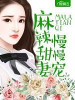 麻辣甜妻慢慢寵