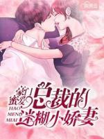豪門蜜愛：總裁的迷糊小嬌妻