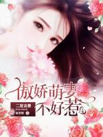 二度追妻：傲嬌萌妻不好惹