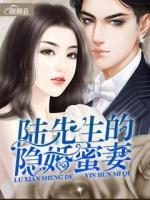 陸先生的隱婚蜜妻