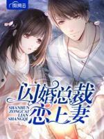 閃婚總裁戀上妻