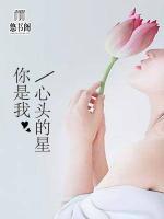 你是我心頭的星