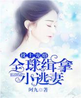 枕上寵婚：漫漫追妻路