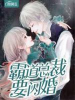 霸道總裁要閃婚