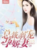 總裁溺寵孕嬌妻