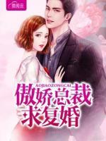 傲嬌總裁求復(fù)婚