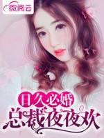 日久必婚：總裁夜夜歡