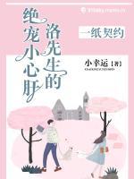 一紙契約：洛先生的絕寵小心肝