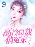 高冷總裁俏冤家