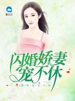 閃婚嬌妻寵不休