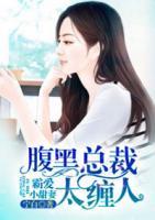 霸愛(ài)小甜妻：腹黑總裁太纏人