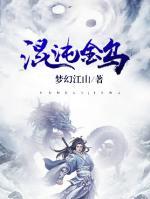 混沌金烏