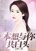 本想與你共白頭
