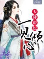 天降盜妃一見傾心